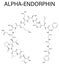 Alpha-endorphin molecule. Skeletal formula.