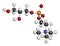 Alpha-GPC (L-Alpha glycerylphosphorylcholine, choline alfoscerate) molecule.  3D rendering. Atoms are represented as spheres with