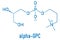 Alpha-GPC or L-Alpha glycerylphosphorylcholine, choline alfoscerate, molecule. Skeletal formula.