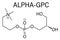 Alpha-GPC or L-Alpha glycerylphosphorylcholine, choline alfoscerate, molecule. Skeletal formula.