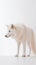 Alpha Majesty. Capture the Elegance of a Minimalistic photography of a Majestic Wolf. Generative AI