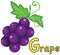 Alphabet G for grape