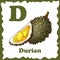 Alphabet for kids with fruits. Healthy letter abc D-Durian