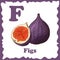 Alphabet for kids with fruits. Healthy letter abc F-Figs