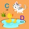 Alphabet Letter C-cat,D-duck