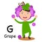 Alphabet Letter G-grape,vector