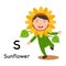 Alphabet Letter S-sunflower,vector