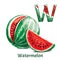 Alphabet letter W. Watermelon