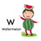 Alphabet Letter W-watermelon,vector
