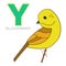 Alphabet letter Y yellowhammer bird
