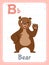 Alphabet printable flashcard with letter B and bear animal picture