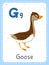 Alphabet printable flashcard with letter G and goose animal