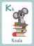 Alphabet printable flashcard with letter K and koala animal