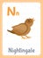 Alphabet printable flashcard with letter N and nightingale bird