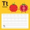 Alphabet tracing worksheet for preschool and kindergarten to improve basic writing skills, letter T, tomato, vector, illustration