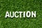 Alphabet in word auction on artificial green grass background
