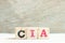 Alphabet in word CIA abbreviation of certified internal auditor on wood background