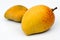 Alphonso Mango (Mangifera indica)