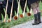 The `alphorn` is a wooden musical instrument