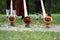 The `alphorn` is a wooden musical instrument