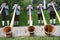 The `alphorn` is a wooden musical instrument