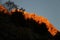 Alpi Apuane, Massa Carrara, Tuscany, Italy. Mountain illuminated