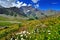 Alpien flowers with mountain landscape in Valle dAosta, Italy