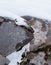 Alpine Accentor on rock