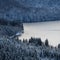 Alpine Alpsee Lake Panorama