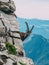 Alpine capricorn Steinbock Capra ibex in the mountain scenery on a steep rock, brienzer rothorn switzerland alps