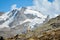 Alpine chamois. Gran Paradiso National Park, Italy