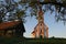 Alpine Chapel