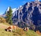 Alpine cows at meadow with Eiger and Monk mountains, Murren, Bernese Highlands, Switzerland