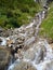 Alpine creek falling down the rock