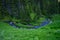 Alpine Creek Winds through Meadow and Pine Forest