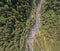 The alpine forest region Sixt-Fer-Cheval in southeastern France.