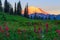 Alpine Glow on Mt. Rainier, Washington State