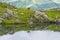 Alpine goat on the edge of the mountain reflected in a lake, mount Blanc, Alps, Italy