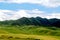 The Alpine Grassland scenery on the Qinghai Tibet Plateau