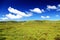 The Alpine Grassland scenery on the Qinghai Tibet Plateau