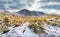 Alpine grassland sprinkled with fresh snow in Mackenzie Country mountain area in the South Island of New Zealand