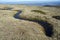 Alpine grasslands of Fescue