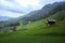 Alpine green meadows. Mountains and huts. Valley in the fog, cloudy