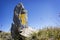 Alpine hiking trail sign