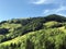 Alpine hill Stockrain above the Sihltal valley and artifical Lake Sihlsee, Studen - Canton of Schwyz, Switzerland