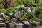 Alpine hill of stones and plants