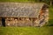 Alpine hut on alpine pasture, Alpe di Siusi, Italy