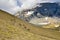 Alpine ibex in the swiss alps, Mutsee in switzerland. steinbock. wild animals in the swiss alps