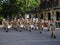 Alpine italian military forces during a parade