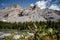 alpine lake in the Canadian Rocky Mountain on a sunny summer day